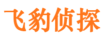 祁阳外遇出轨调查取证